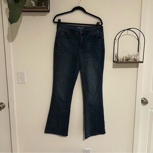 Democracy "Ab"solution® High Rise Artisanal Denim Itty Bitty Boot Jean Size 10